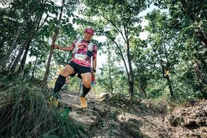 BIB: 
                            <button type="button" onclick="openModal(25989770)" class="btn btn-primary btn-sm float-right btn-popup" data-toggle="modal" data-target=".modal-high-quality">
                        <i class="fas fa-shopping-cart"></i> Add to Cart
                    </button>
                                            <button type="button" onclick="isThisMe(25989770, true)" class="btn btn-success btn-sm float-right btn-popup btn-isme hidden" data-toggle="tooltip" data-placement="bottom" title="นี่คือรูปของคุณใช่ไหม คลิกที่นี่เพื่อเอาเข้าอัลบั้ม">
                        <i class="fas fa-plus"></i> Add to album
                    </button>
                    <button type="button" onclick="isThisMe(25989770, false)" class="btn btn-warning btn-sm float-right btn-popup btn-isnotme hidden">
                        <i class="fas fa-ban"></i> Remove from album
                    </button>